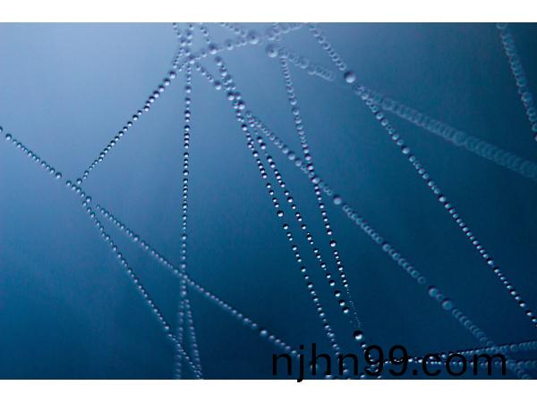 告彆(bie)2021，妳好(hao)2022！